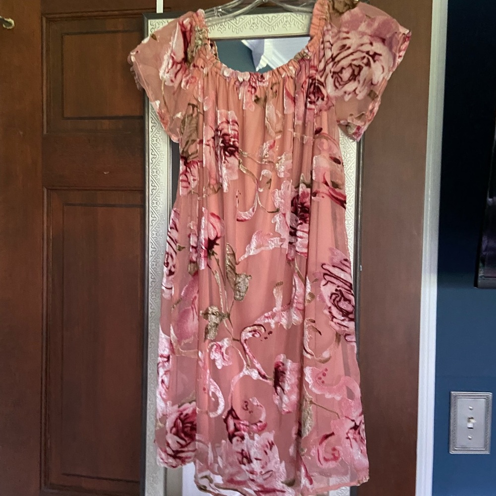 Off the shoulder blush dress with velvet florals